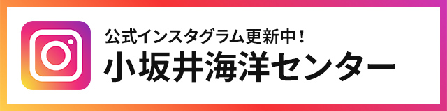 公式インスタグラム 小坂井海洋センター